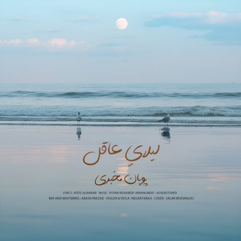 دانلود آهنگ پویان مخبری لیلای عاقل
